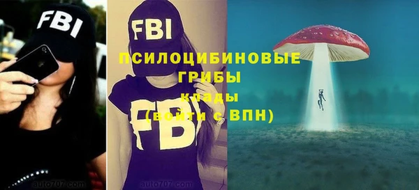 ГАЛЛЮЦИНОГЕННЫЕ ГРИБЫ Алексин