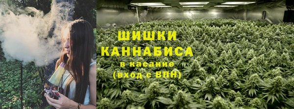 ГАЛЛЮЦИНОГЕННЫЕ ГРИБЫ Алексин
