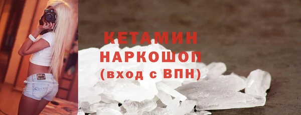 стаф Арсеньев