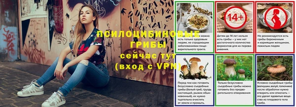 ГАЛЛЮЦИНОГЕННЫЕ ГРИБЫ Алексин