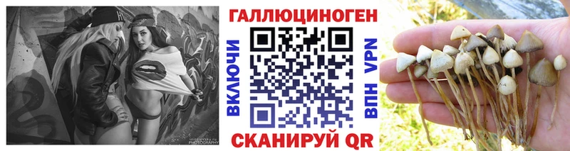 Псилоцибиновые грибы мицелий  цены   Каменск-Уральский 